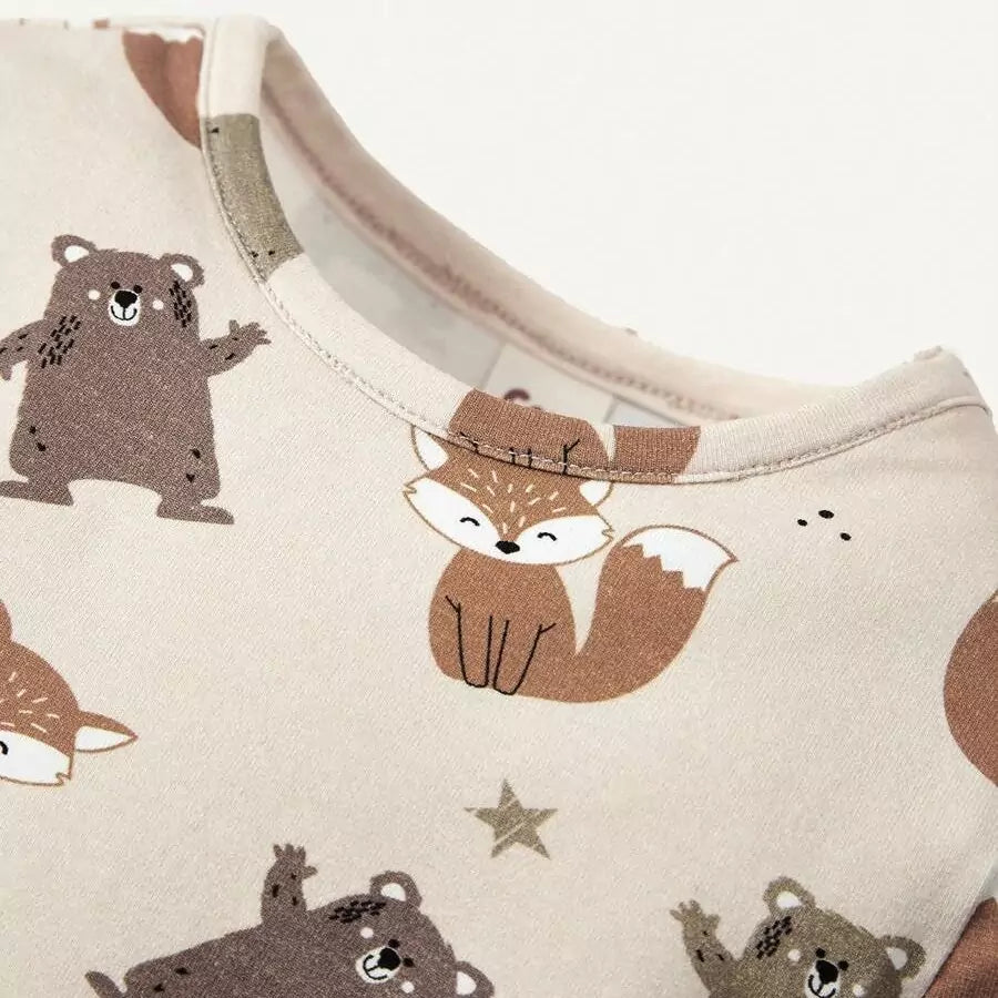 Conjunto Bebê Menino 2 Peças Estampa Urso e Raposa RN a 3 Anos Varialle