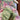 Vestido Infantil Jardim dos Sonhos 3 a 7 Anos_Varialle