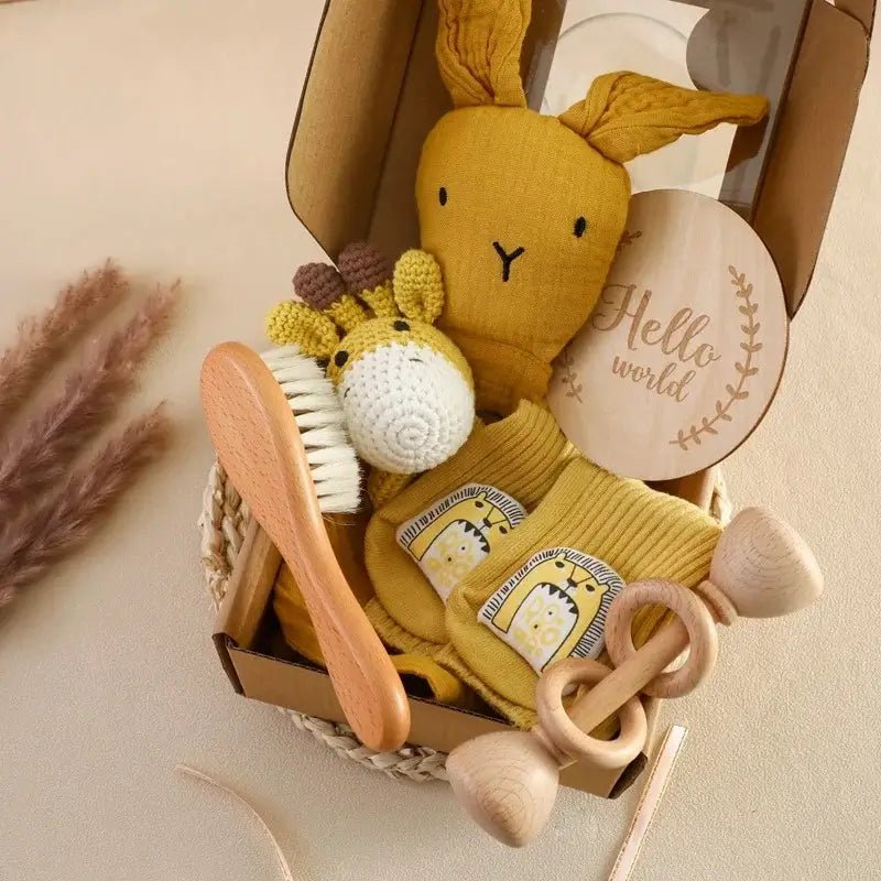 Kit Presente para Recém Nascido BabyBox - Varialle
