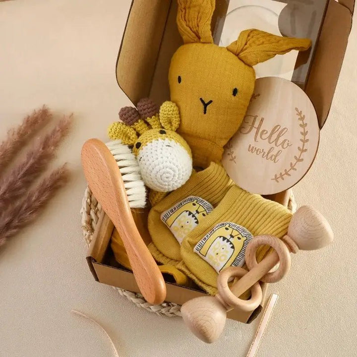 Kit Presente para Recém Nascido BabyBox - Varialle