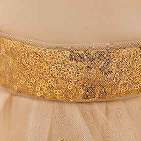 Vestido Princesa Dourado com Lantejoulas e Laço - Varialle